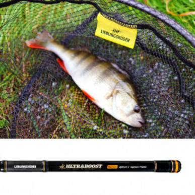 Lieblingsköder Ultraboost Barsch Kescher 50x40cm Carbon teleskopierbar gummiert