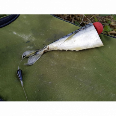 Quantum Mr.Pike Bait Pop Up Kit Rot Deadbait Hecht Zander Köderfisch Raubfisch