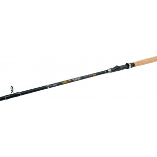 Paladin Aalmutti Titan Rute Aalangel 20-180g 2,70m 3m Carbon Aal Wechselspitzen