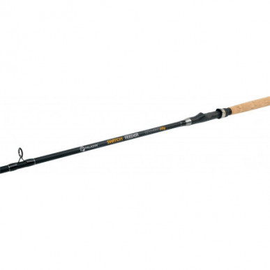 Paladin Aalmutti Titan Rute Aalangel 20-180g 2,70m 3m Carbon Aal Wechselspitzen