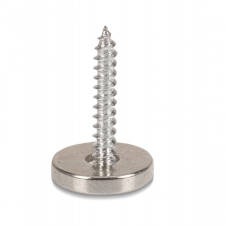 Iron Claw Magnetic Stinger Mount Magnetischer Halter Screw in Stingermagnet