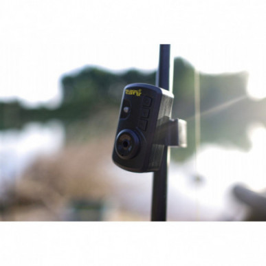 BLACK CAT PASSION PRO ALARM Bissanzeiger Waller Wels Bite indicator