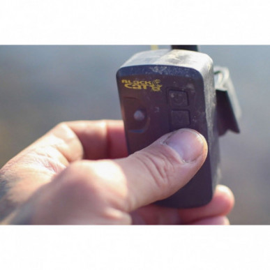 BLACK CAT PASSION PRO ALARM Bissanzeiger Waller Wels Bite indicator