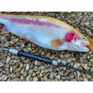 SPRO Trout Master 3 in 1 HD Priest Hakenlöser Betäuber Dorn Angeln Fischtöter