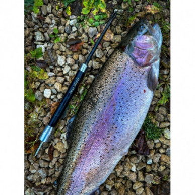 SPRO Trout Master 3 in 1 HD Priest Hakenlöser Betäuber Dorn Angeln Fischtöter