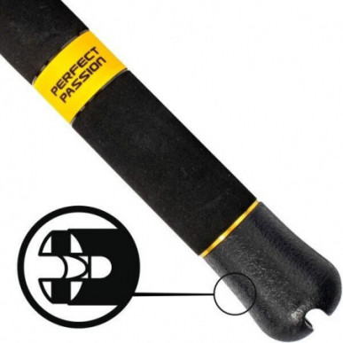 Black Cat Perfect Passion XH-S 3,00 m Welsrute Kohlefaser Waller Rute Angelrute