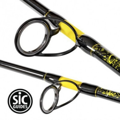 Black Cat Perfect Passion XH-S 3,00 m Welsrute Kohlefaser Waller Rute Angelrute