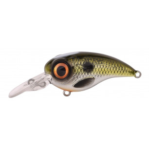 Spro FAT IRIS 80 CR Crank Bait 8cm 40gTauchtiefe 3,0m 4,0m LT Hecht ABV