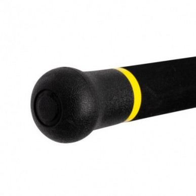 Black Cat Freestyle Pro Rute 2,80-3,20m Wallerrute Alroundrute Wels Catfish