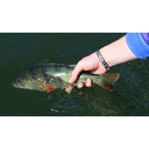 Deka Armband Let go. Let grow. Silikon Band Catch & Release Band Armschmuck