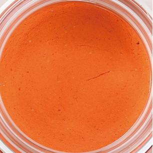 Paladin Forellenteig Rainbow Trout Finder Bait Knoblauch Paste UV Schwimmend