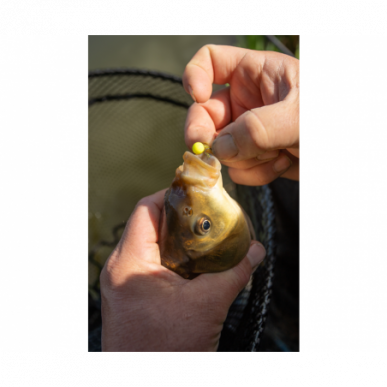 Sonubaits Spike um Wafters  Hookbait Hakenköder Method-Feedern Hook-Bait Dumbell