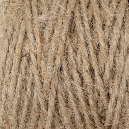 Black Cat Stone Rig Line Schnur 100m Seil Steinmontage 2mm Waller Wels Stein