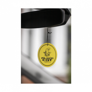 Black Cat Air Freshener Duftbaum Wels Angeln Duft Auto Lufterfrischer Waller