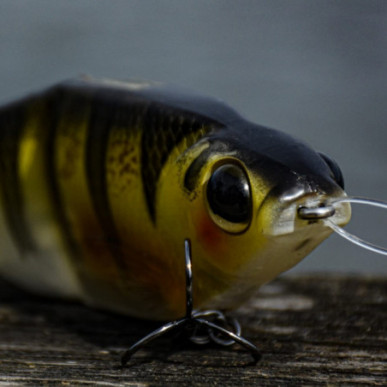 SPRO KGB Chad Shad 180 Series USA Glide Bait Swimbait Bigbait Big Wobbler 18cm