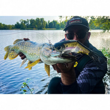 SPRO KGB Chad Shad 180 Series USA Glide Bait Swimbait Bigbait Big Wobbler 18cm