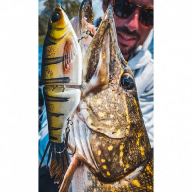 SPRO KGB Chad Shad 180 Series USA Glide Bait Swimbait Bigbait Big Wobbler 18cm