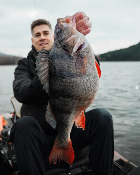 Nays PDTR 2.0 bald verfügbar