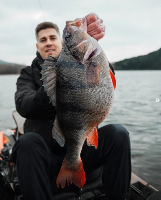 Nays PDTR 2.0 bald verfügbar